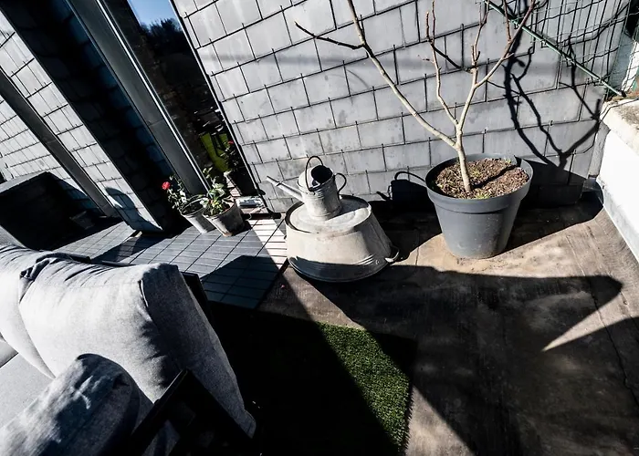 Les 3 Chapeaux 6p Les Canotiers 4p Avec Terrasse Le Melon 2p Sans Terrasse Appartement Dinant