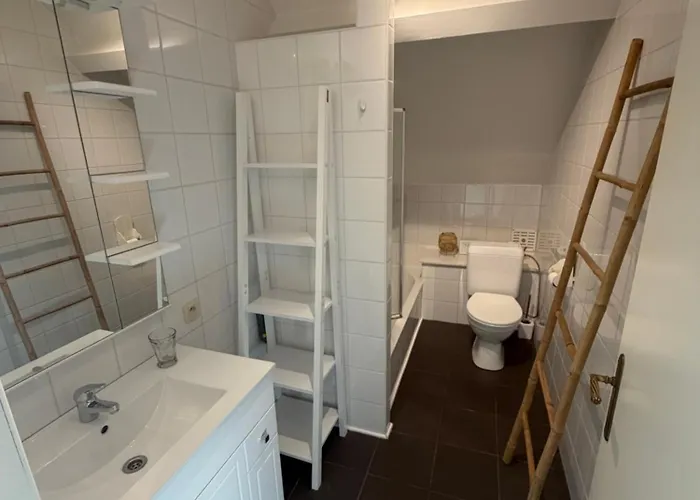 Appartement Les 3 Chapeaux 6p Les Canotiers 4p Avec Terrasse Le Melon 2p Sans Terrasse Dinant